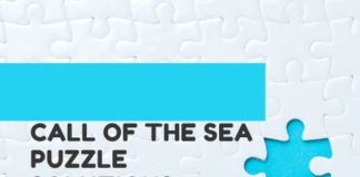 Call of The Sea Puzzle Solutions